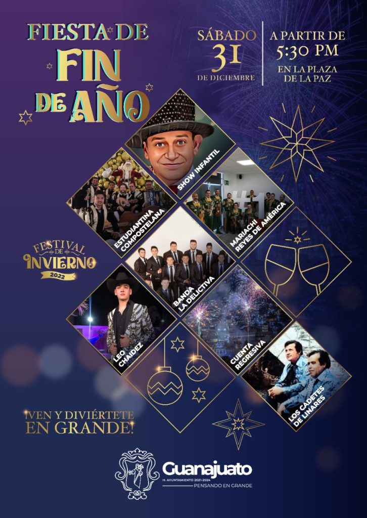 Fiesta año nuevo 5