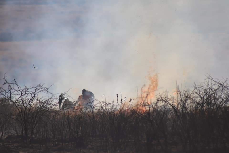 Intensifica Protección Civil labores para prevenir incendios de pastizal en temporada invernal